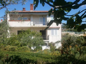 Apartment Biserka close to town centre